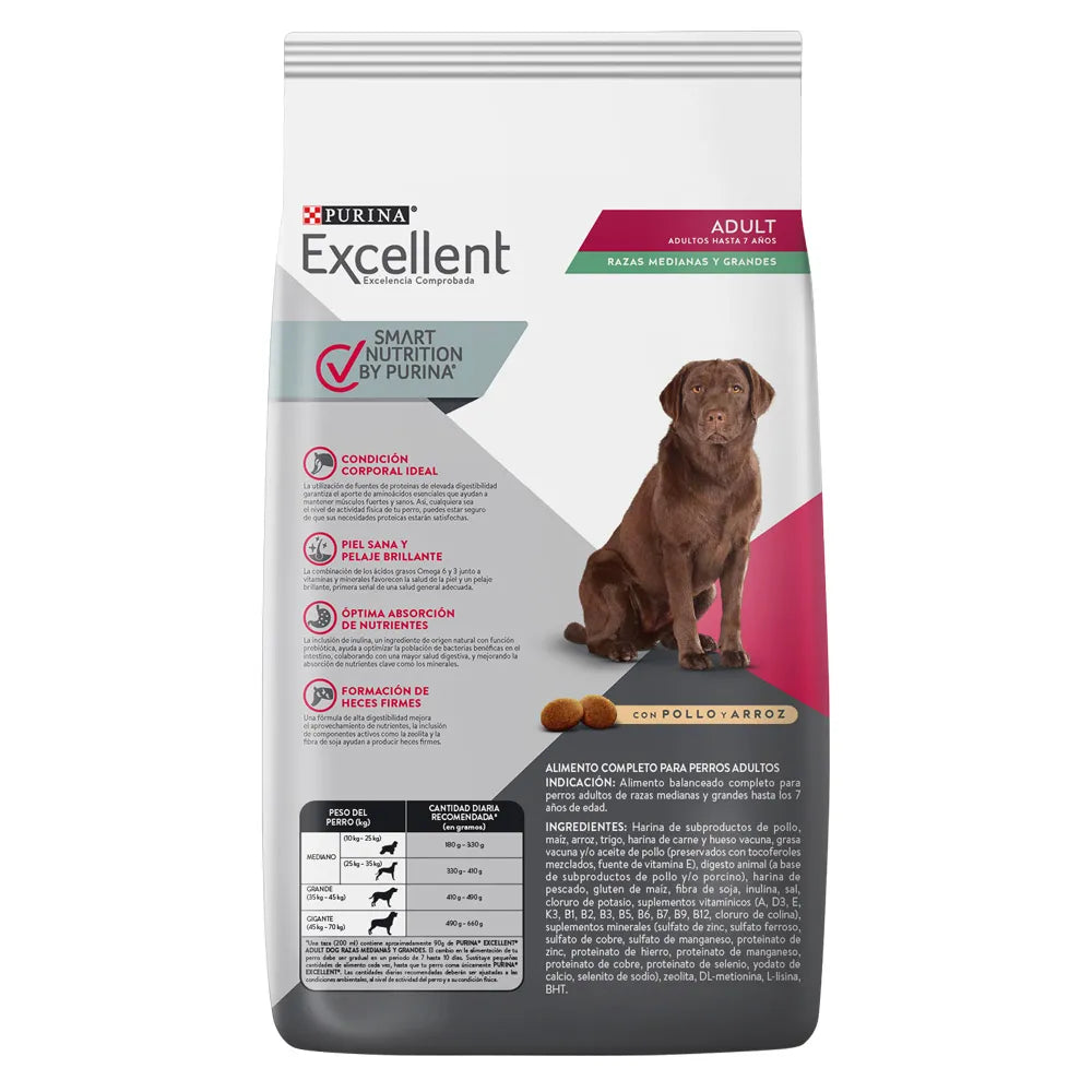 Excellent Adulto Raza Mediana / grande