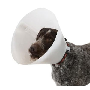 COLLAR ORTOPÉDICO O ISABELINO