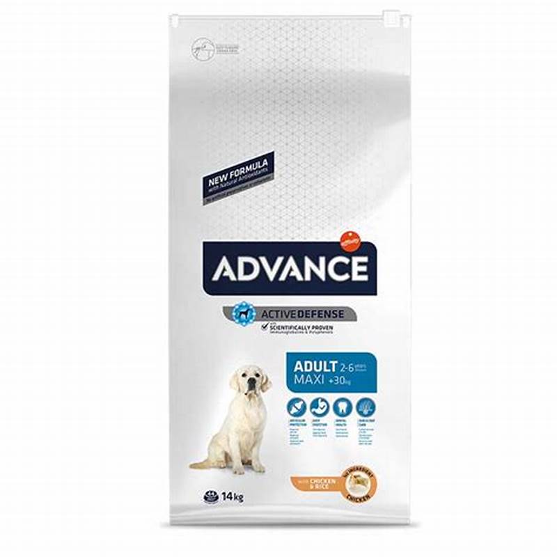 ADVANCE DOG MAXI ADULT