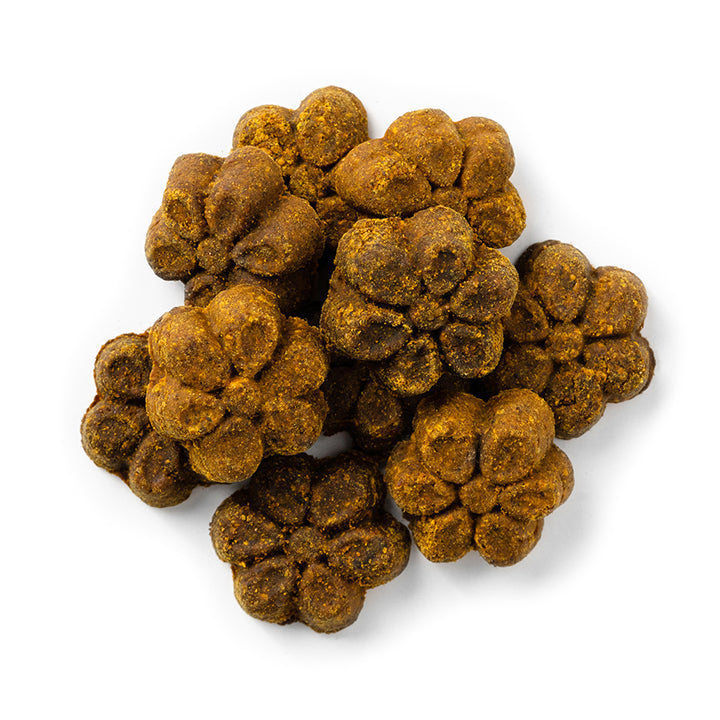 BIOACTIVE COMPLETE JOINT CARE – HIP & JOINT - Cadera y Articulación