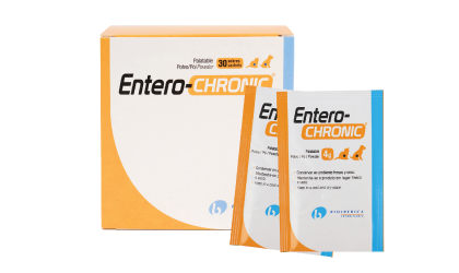 ENTERO-CHRONIC - Problemas Intestinales