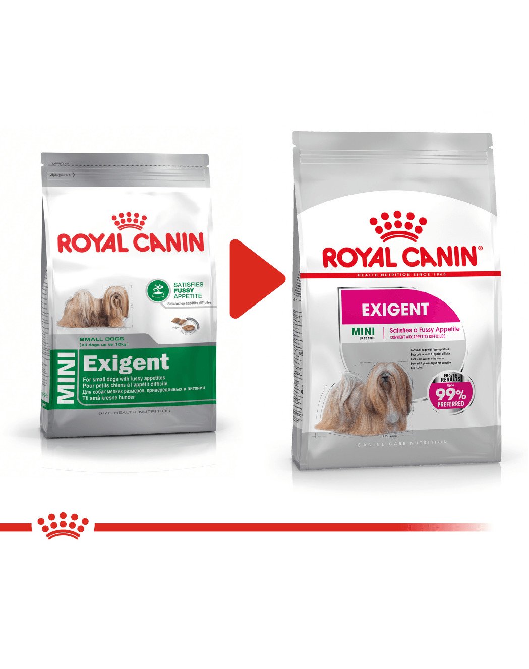ROYAL CANIN MINI EXIGENT