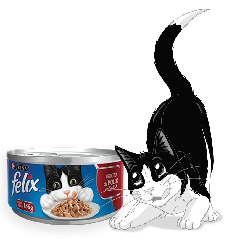 Felix Lata Pollo en Salsa