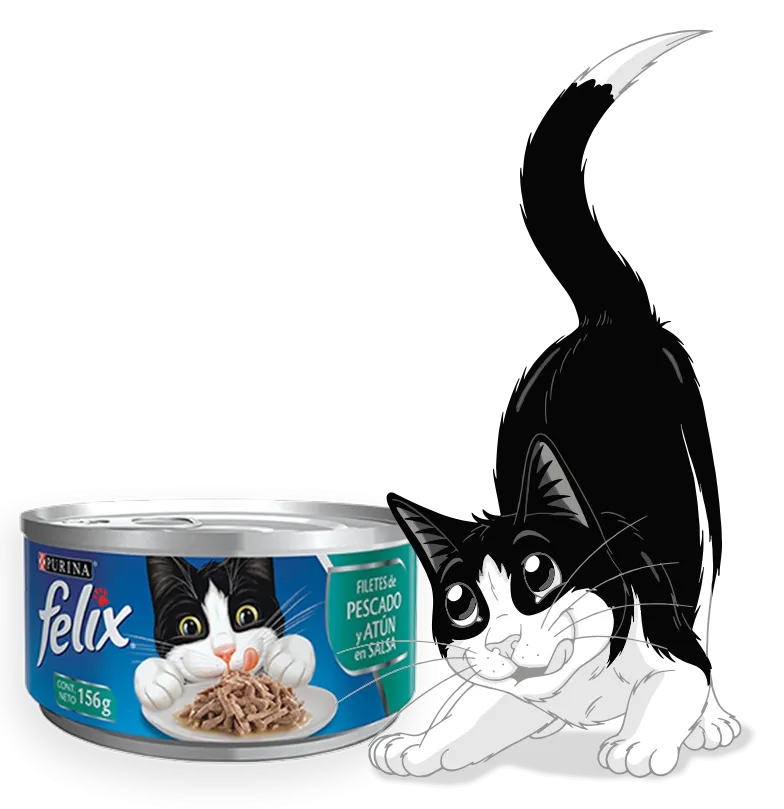 Felix Lata Pescado y Atun en Salsa