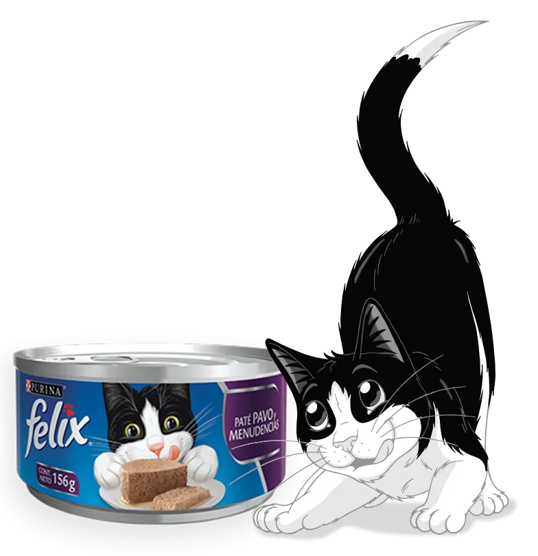 Felix Lata Paté Pavo y Menudencias