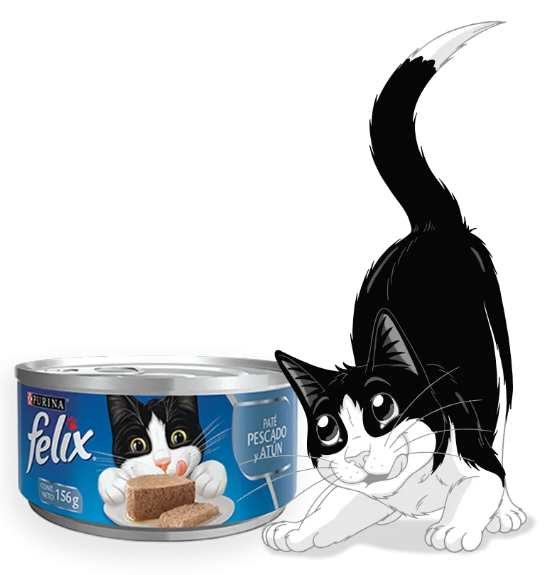 Felix Lata Paté Pescado y Atún