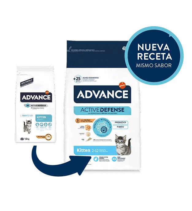 ADVANCE CAT KITTEN