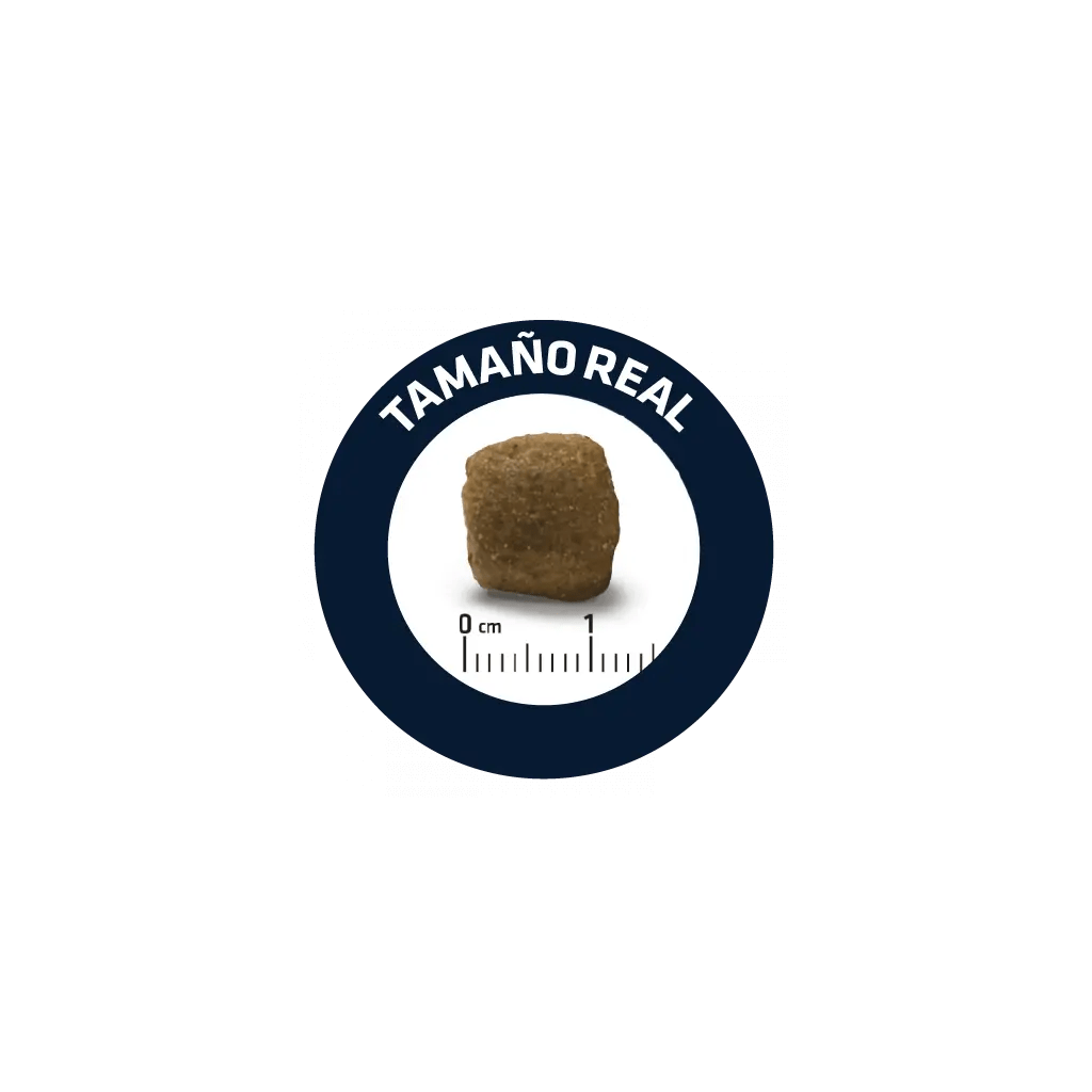 ADVANCE VETERINARY DIETS DOG ARTICULAR