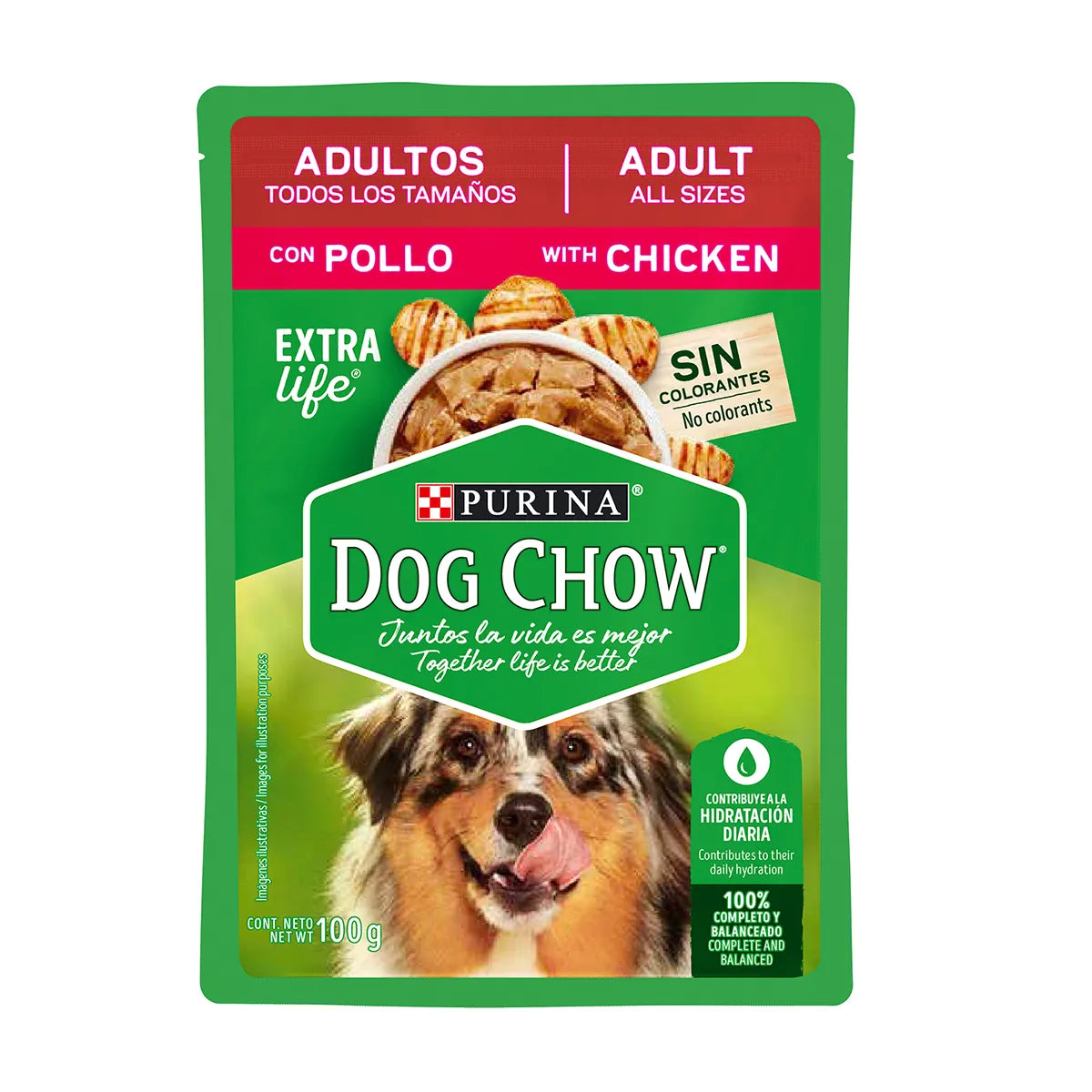 Dog Chow Pouch Festival Pollo