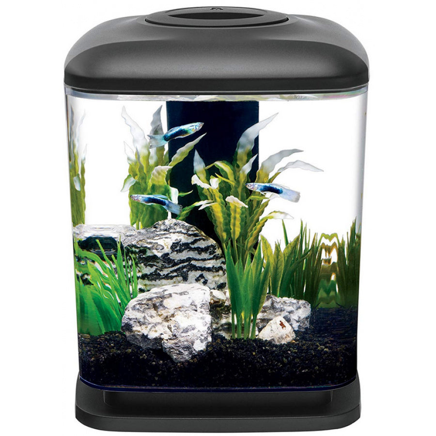 MINI CUBE LED AQUARIUM KIT 1.6 G AQUEON
