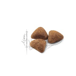 ROYAL CANIN FHN INDOOR 27 2KG