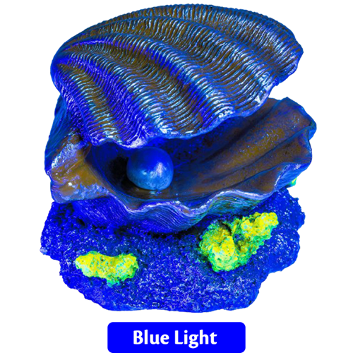 GLOFISH ORNAMENT - ALMEJA