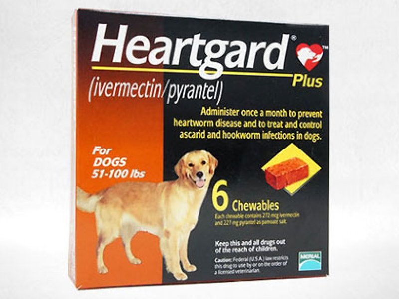 HEARTGARD PLUS DE 51 A 100 LIBRAS (Desparasitante)