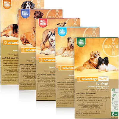 Advantage Multi Dog De 25 a 40 kg (3 Pipetas)