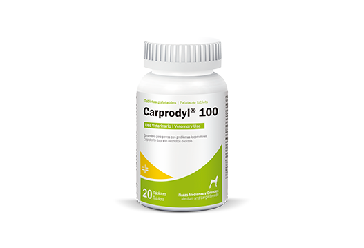 CARPRODYL 100 (Antiinflamatorio no esteroidal para perros medianos y grandes)