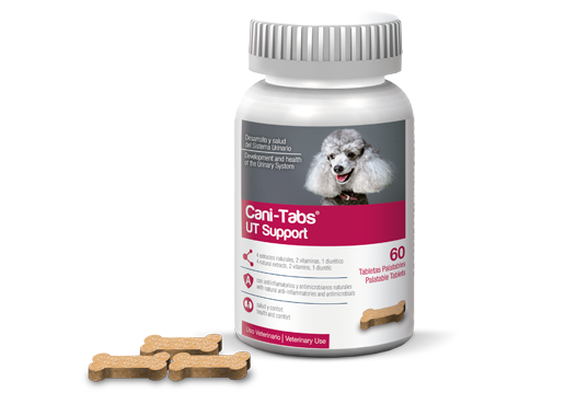 CANI-TABS® UT SUPPORT (Desarrollo y salud del sistema urinario)