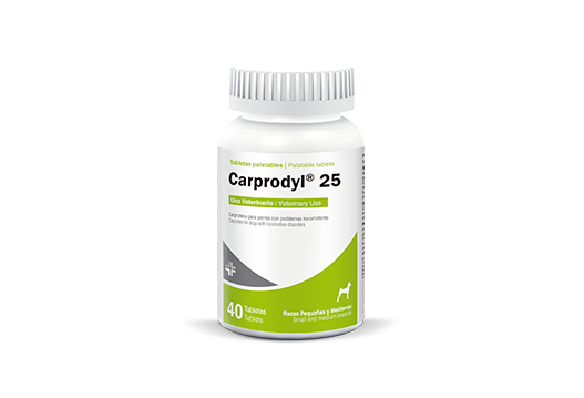 CARPRODYL 25 (Antiinflamatorio no esteroidal para perros pequeños y medianos)