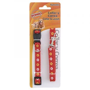 COMBO COLLAR Y TIRAPERRO CON DISEÑO BONGO (pueden variar los diseños)