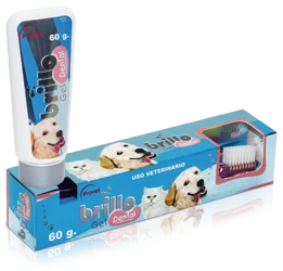 BRILLO DENTAL