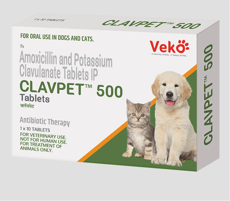 CLAVPET 500 (antibiótico de amplio espectro)