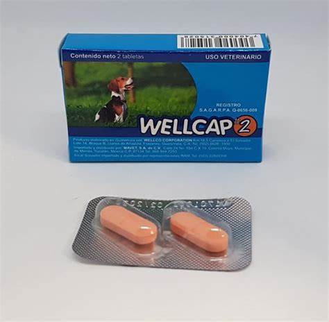 DESPARASITANTE WELLCAP ETAPA 2 - 2 TABLETAS