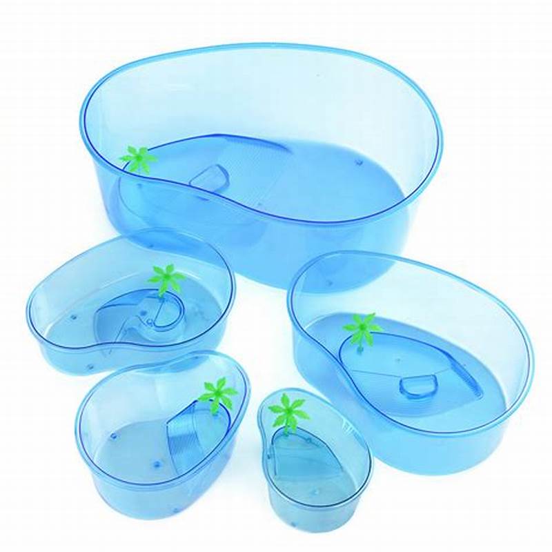 LAGUNA PARA TORTUGAS - FORMA DE RIÑON