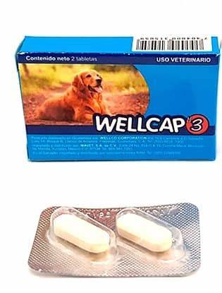 DESPARASITANTE WELLCAP ETAPA 3 - 2 TABLETAS