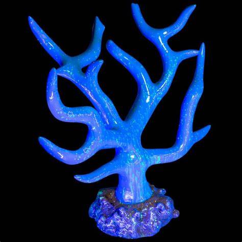 GLOFISH ORNAMENT - CORAL AZUL