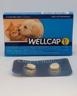 DESPARASITANTE WELLCAP ETAPA 1 - 2 TABLETAS