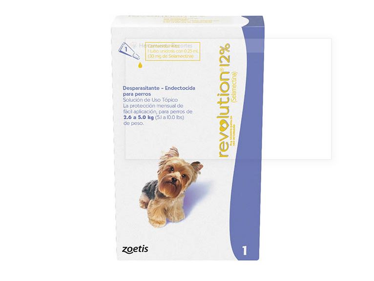 Revolution Morado (5.1-10.0 lbs.)