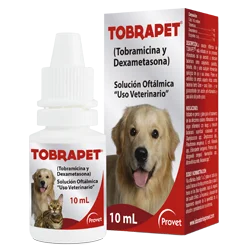 TOBRAPET GOTAS 10 ML (conjuntivitis, queratitis, blefaritis, dacriocistitis, iritis)