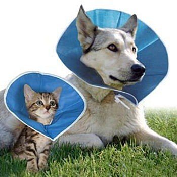 COLLAR ORTOPÉDICO O ISABELINO DESECHABLE