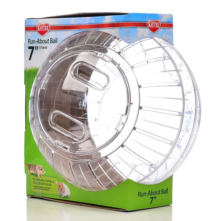 KAYTEE RUN ABOUT BALL CLEAR RUEDAS PARA HAMSTER TRANSPARENTE