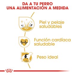 ROYAL CANIN GOLDEN RETREAVER ADULTO