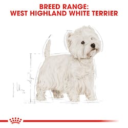 ROYAL CANIN WESTIE ADULTO