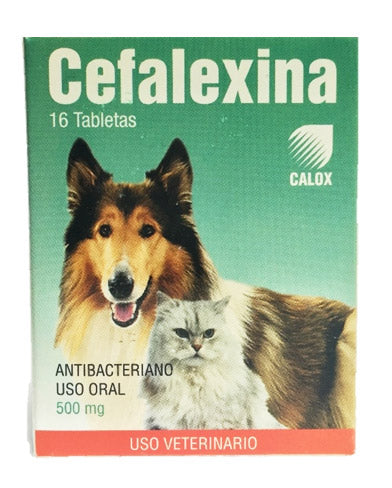 CEFALEXINA CALOX