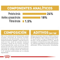 ROYAL CANIN MALTESE ADULTO