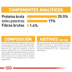 ROYAL CANIN MINI DERMACOMFORT