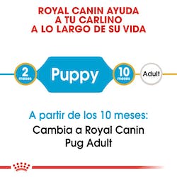 ROYAL CANIN PUG PUPPY
