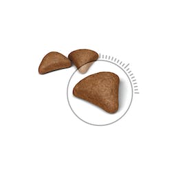 ROYAL CANIN FCN HAIRBALL CARE 2K