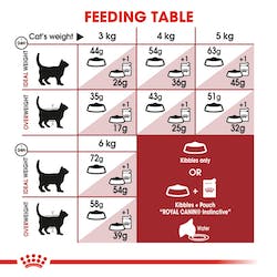 ROYAL CANIN FHN FIT 32 2KG