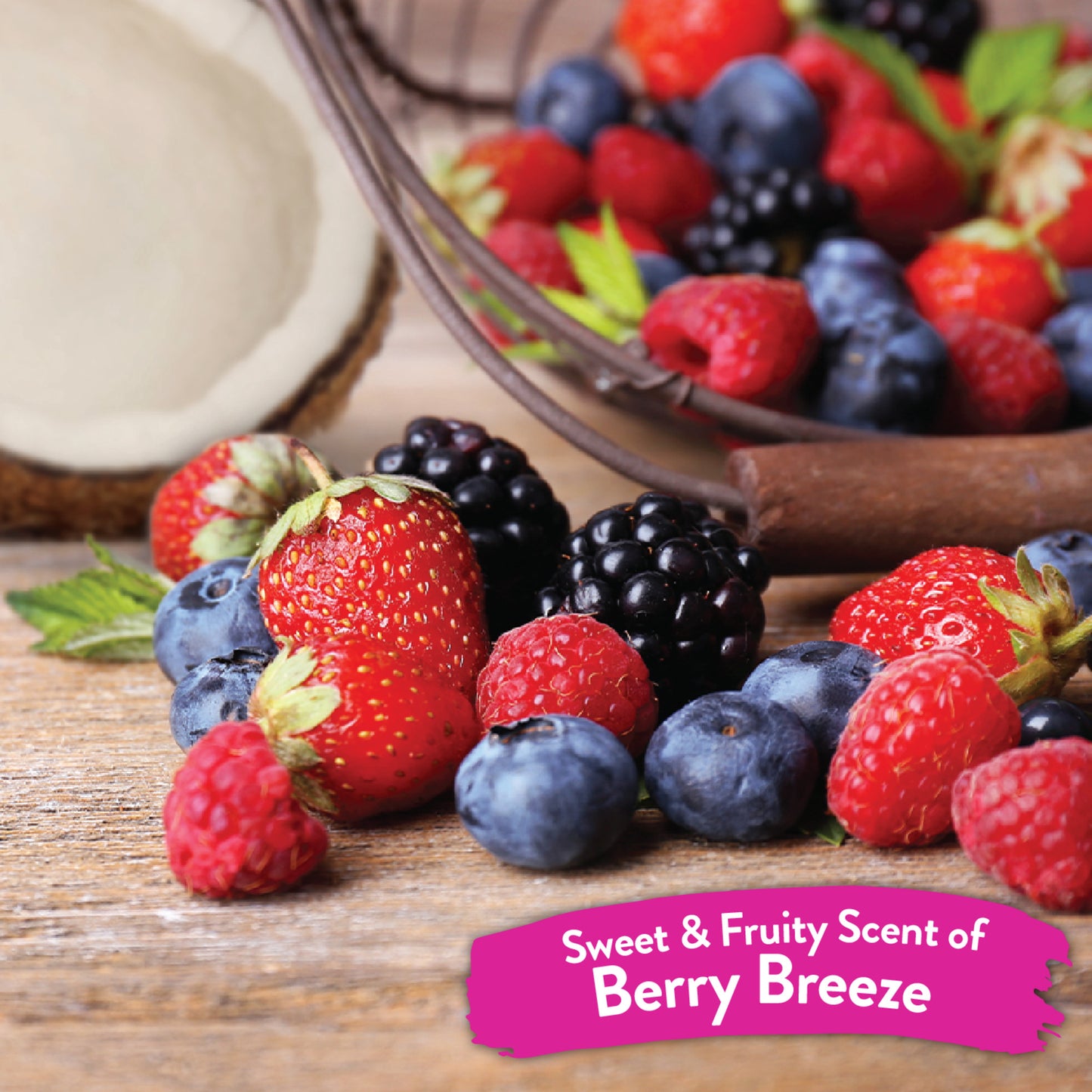 TROPICLEAN SHAMPOO BERRY & COCONUT DEEP CLEASING