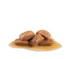 ROYAL CANIN WET MAXI ADULT