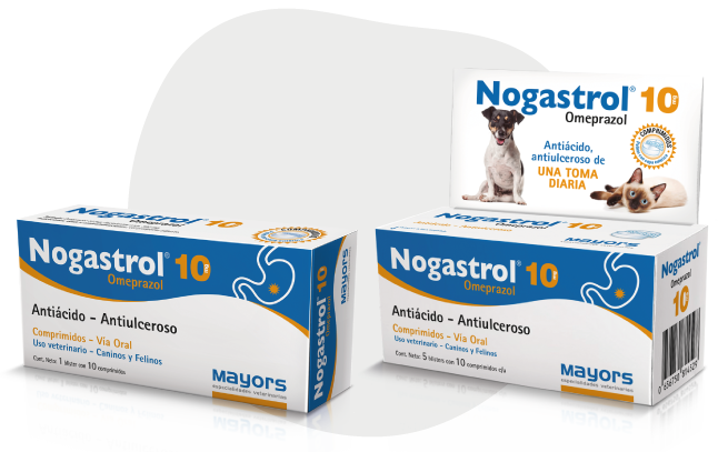 NOGASTROL 10 MG (ANTIÁCIDO –ANTIULCEROSO)