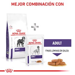ROYAL CANIN MAXI ADULT