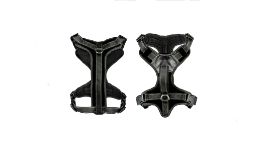 PET SAFETY HARNESS