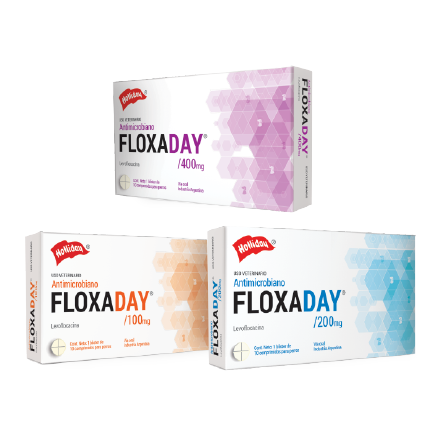 FLOXADAY COMPRIMIDOS 200 MG (Antibiótico)