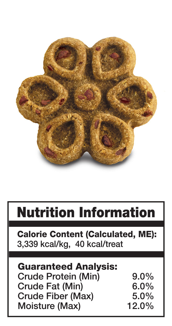 FRUITABLES DOG TREAT BIGGIES BACON & APPLE – TOCINO & MANZANA