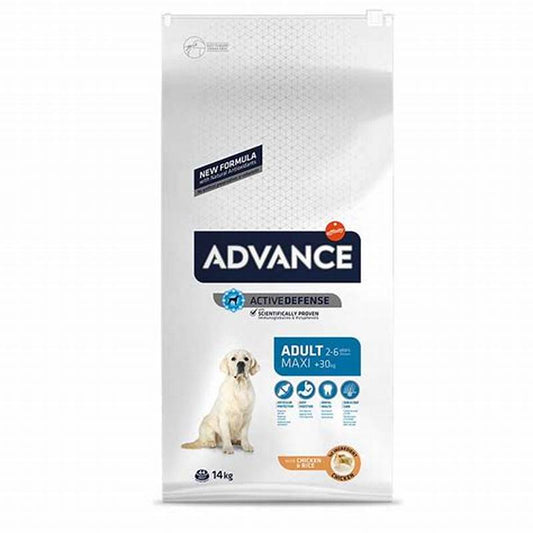 ADVANCE DOG MAXI ADULT