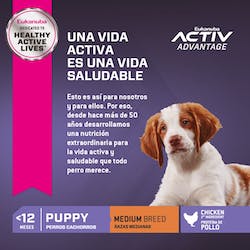 EUKANUBA PUPPY MEDIUM BREED